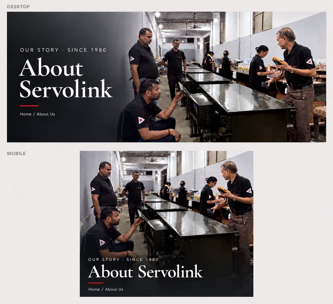 SERVOLINK team at work — Our story since 1980